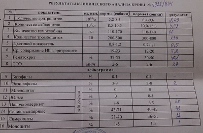 Опель вектра б повышенное со причины