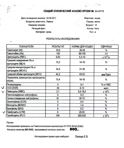 Образец клинического анализа крови бланк