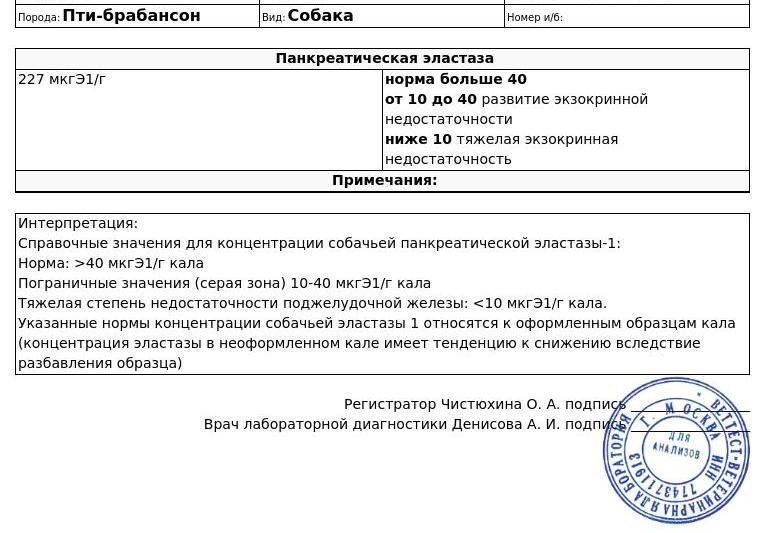 Панкреатическая эластаза в кале. Норма анализа панкреатическая эластаза кала. Расшифровка анализа на панкреатическую эластазу. Норма анализа кала на панкреатическую эластазу. Панкреатическая эластаза 1 в Кале норма.