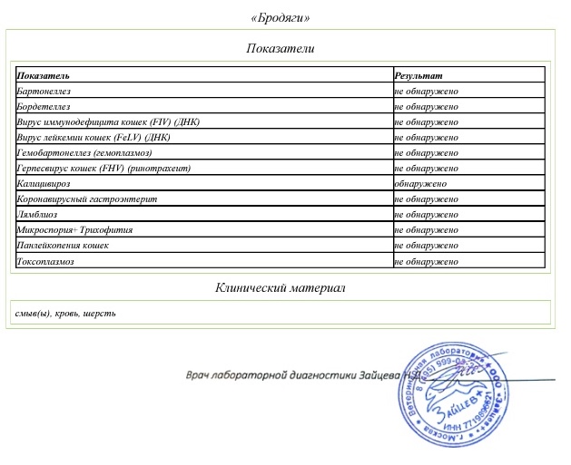 Кальцивироз у кошек схема лечения форум